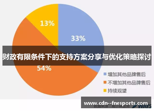 财政有限条件下的支持方案分享与优化策略探讨