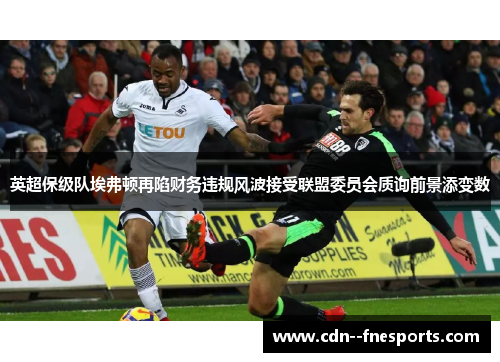 英超保级队埃弗顿再陷财务违规风波接受联盟委员会质询前景添变数 英超保级队埃弗顿再陷财务违规风波接受联盟委员会质询前景添变数