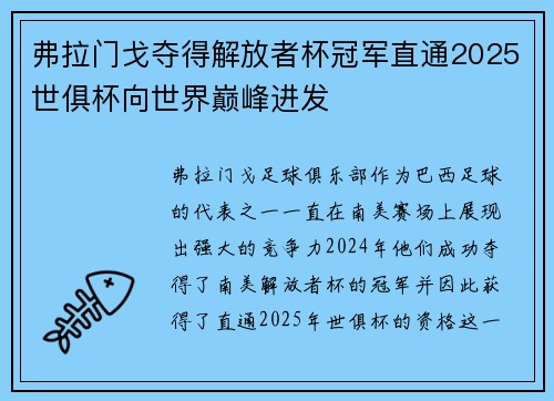 弗拉门戈夺得解放者杯冠军直通2025世俱杯向世界巅峰进发
